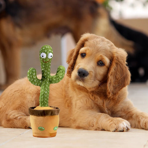 Talking Cactus For Dogs