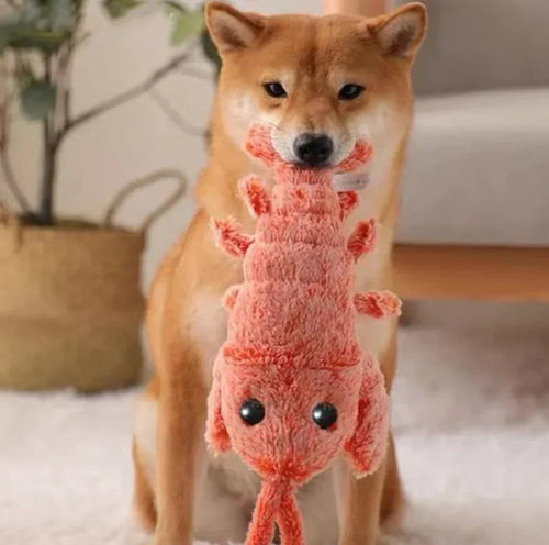 Floppy Lobster - Interactive Dog Toy