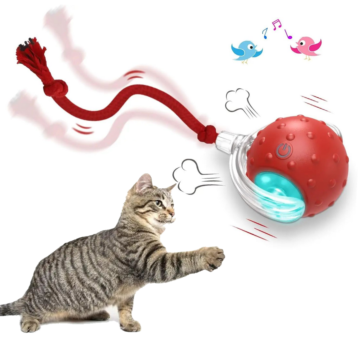 Interactive Cat Toys Ball for Indoor Cats Fast Rolling on Carpet