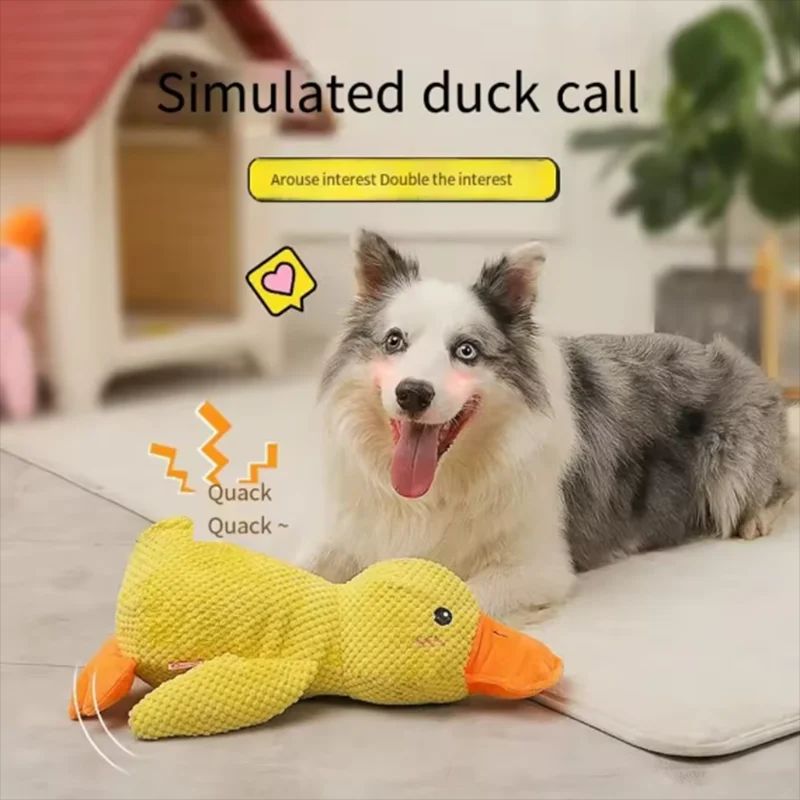 PawJoyHouse™ - Calming Duck