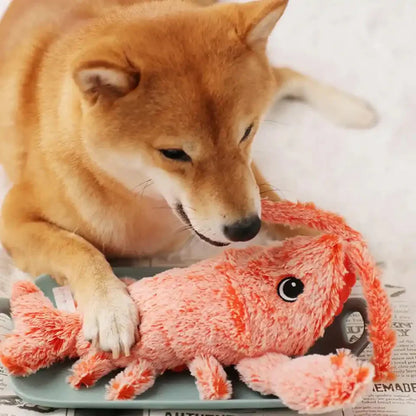Floppy Lobster - Interactive Dog Toy