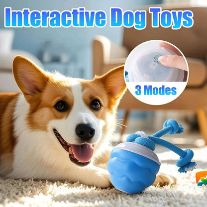 Interactive Dog Toys Smart Rolling Ball With Rope Motion