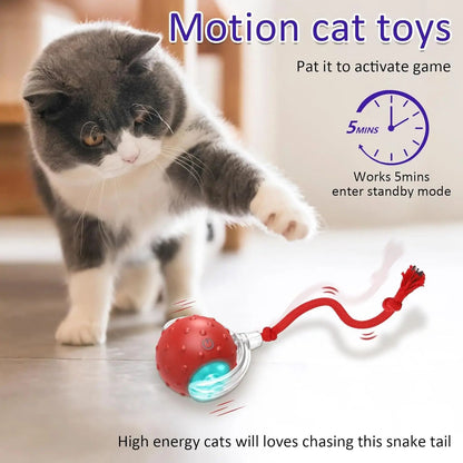 Interactive Cat Toys Ball for Indoor Cats Fast Rolling on Carpet