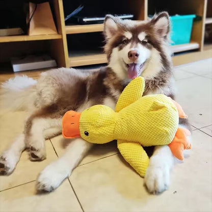 PawJoyHouse™ - Calming Duck