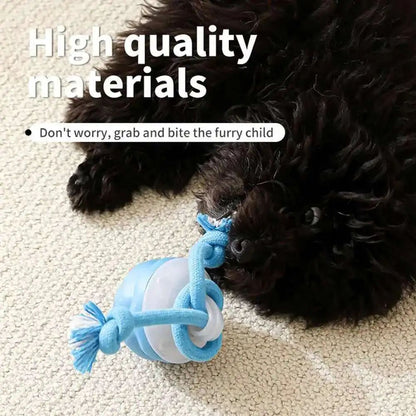 Interactive Dog Toys Smart Rolling Ball With Rope Motion