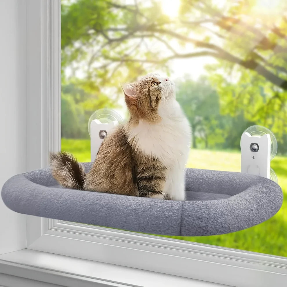 Sunny Window Cat Hammock – Perfect for Curious Kittens!
