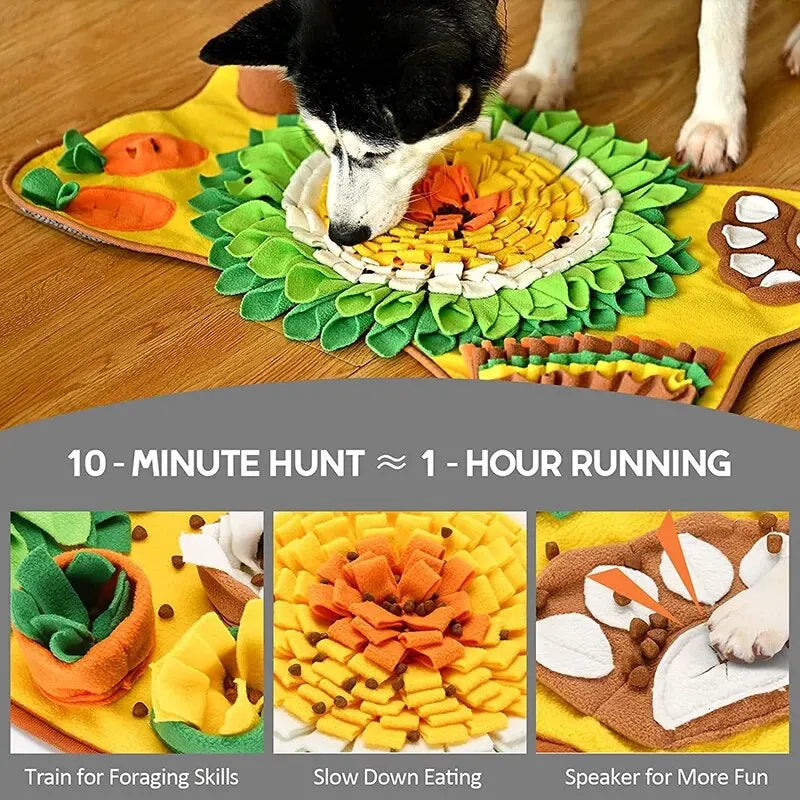 Dog Sniffing Mat & Training Blanket