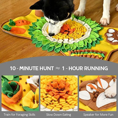 Dog Sniffing Mat & Training Blanket