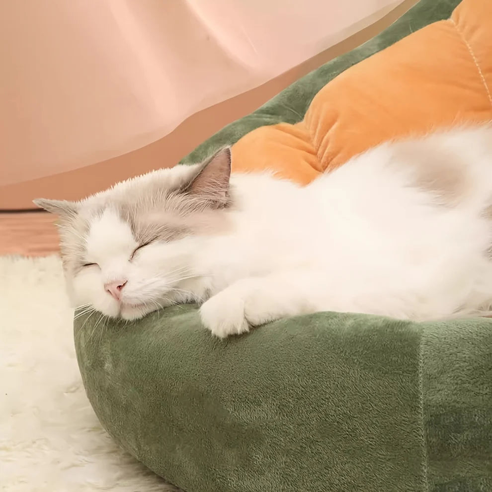 All-Season Cat Bed – Semi-Enclosed, Thick & Cozy Design