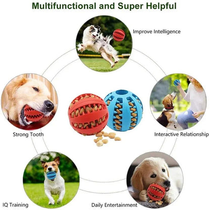 Interactive Chew Ball for Dogs