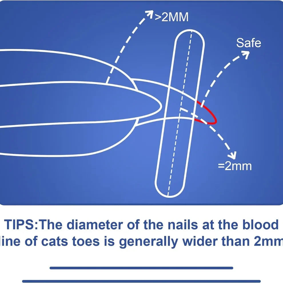 Cat Nail Clippers – Safe, Sharp & Precise Trim