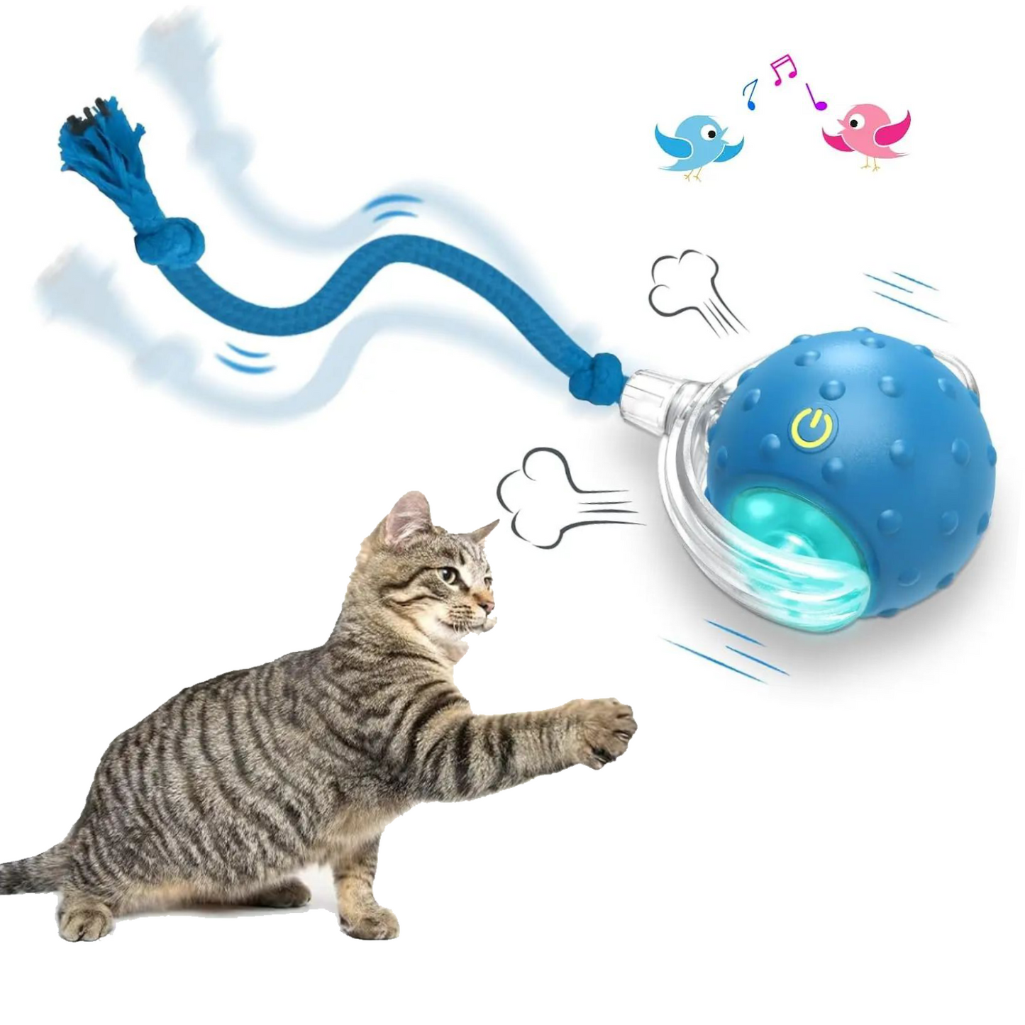 Interactive Cat Toys Ball for Indoor Cats Fast Rolling on Carpet