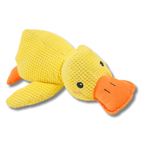 PawJoyHouse™ - Calming Duck