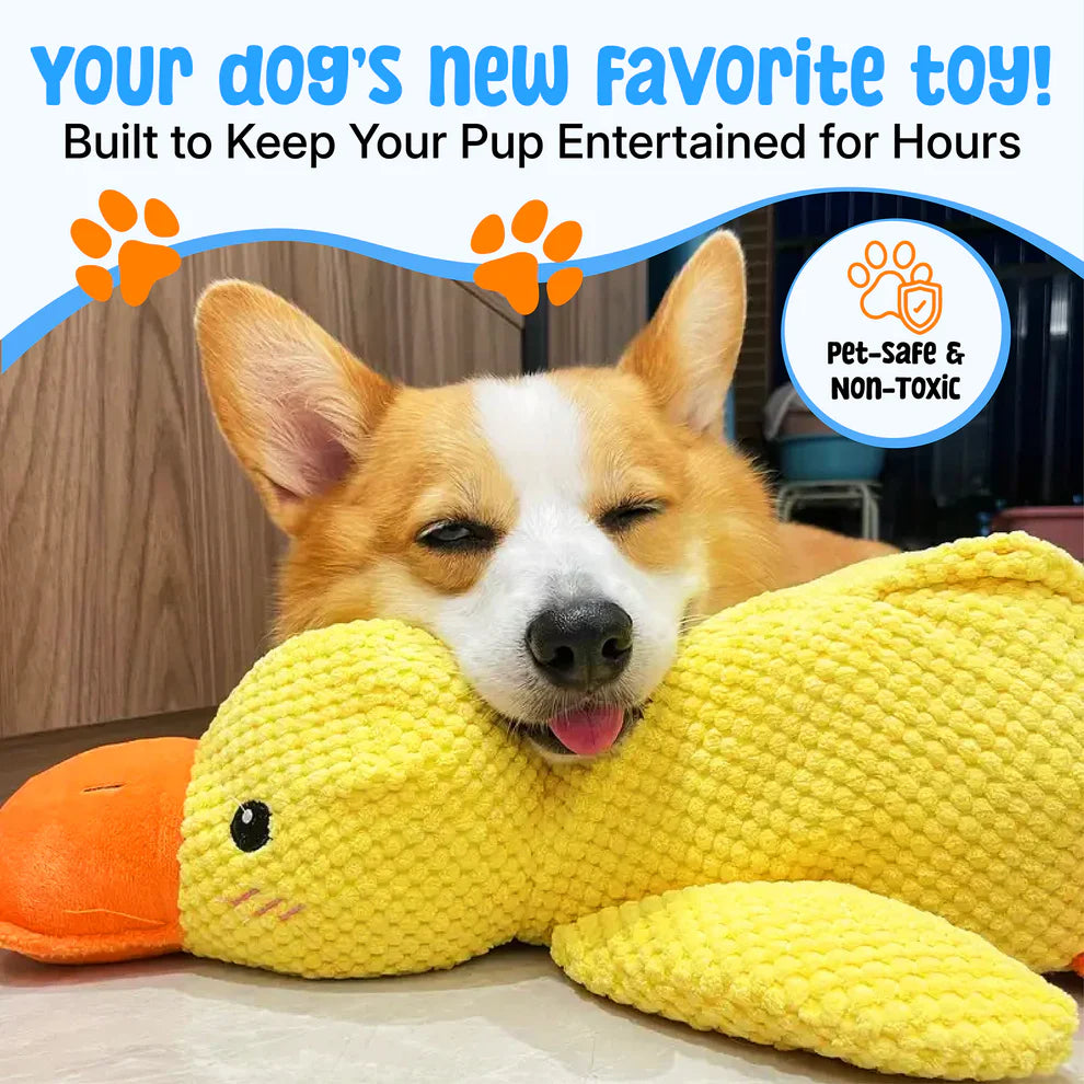 PawJoyHouse™ - Calming Duck