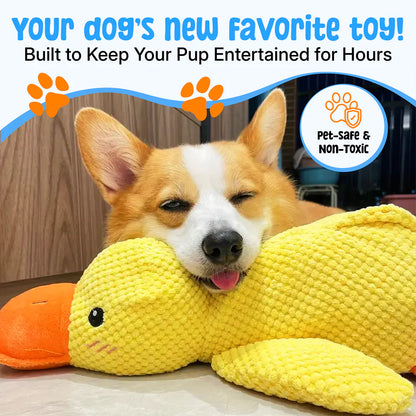 PawJoyHouse™ - Calming Duck